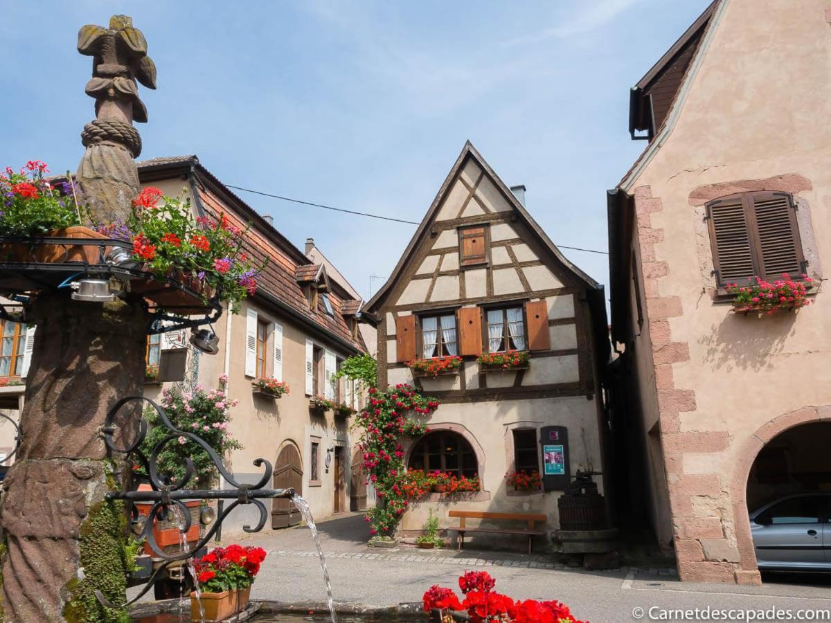 Coeur D'Alsace Colmar Vignobles Ouest Avec Terrasses Vila Wintzenheim Exterior foto