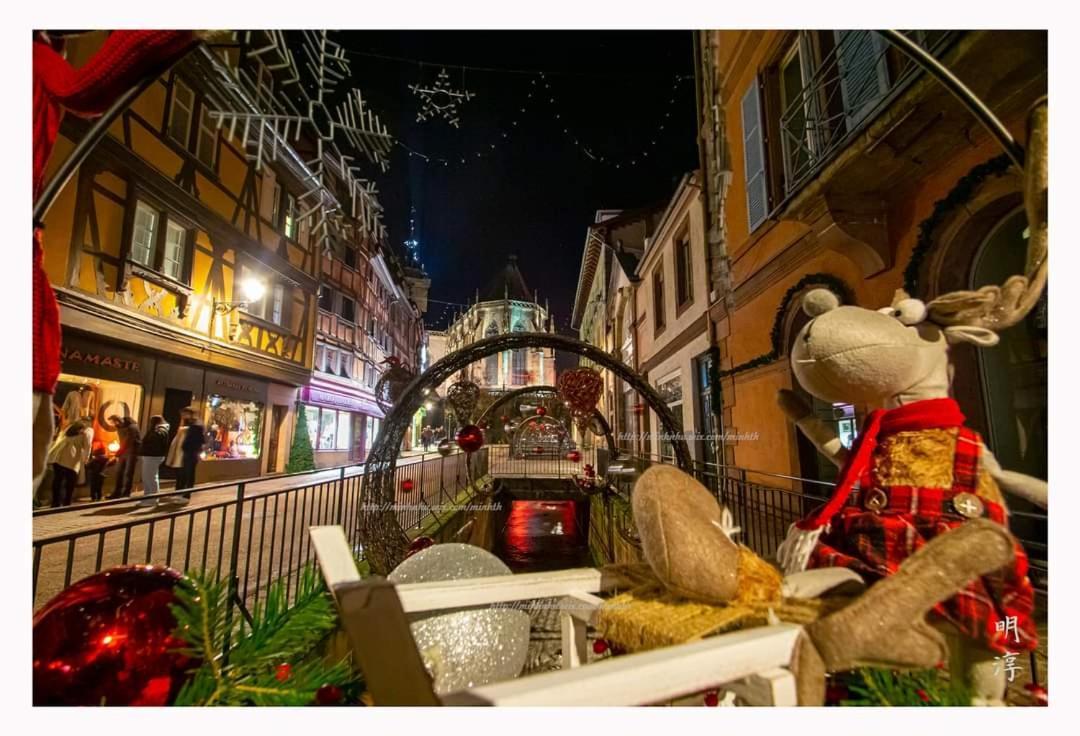 Coeur D'Alsace Colmar Vignobles Ouest Avec Terrasses Vila Wintzenheim Exterior foto